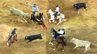 ¡¡TOROS BRAVOS BUSCA CABALLOS!! JARIPEO EN LA MONUMENTAL DE MORELIA MICHOACAN MEXICO DIC 2025