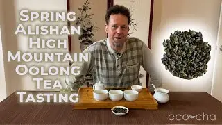 Spring Alishan High Mountain Oolong Tea Tasting | Eco-Cha Teas