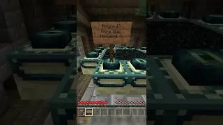 The N(o)-Word 😳 #shorts #minecraft #enderegg