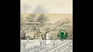 Tradition - &Agrave; la d&eacute;couverte de la riche culture du th&eacute; en Chine : du quotidien au m&eacute;dicinal, du c...