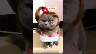 Wait wait 😁🤪😂 # Funny Video # Tanson Free 2.0 @highlight