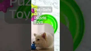 Pet-Safe DIY Puzzles: Engaging Activities for Your Furry Friends