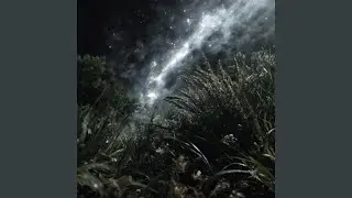 Devil's Bay
