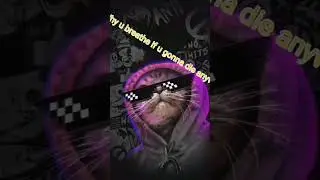 Savage reply|Part-1|Savage Cat|#trending #best #savage #cat #reply #savagereply #savagecat