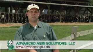 How to Drench a Cow - Simple Step-by-Step Instructions