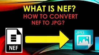 WHAT IS NEF? || How to Convert NEF file into JPG/JPEG file without using any software or app?