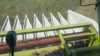 Campania de vara 2019 Claas avero 160 Recoltat Floarea soarelui 1