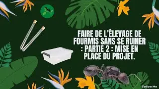 Partie 2 : Mise en place du projet.