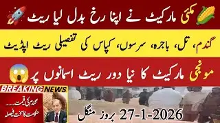 Today Makai rate|اج کا مکئ کا ریٹ|Today gandam rate|اج کا گندم کا ریٹ|Today Munji rate| 27-1-2026