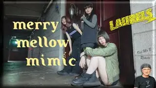 LAURELS「merry mellow mimic」(Reaction)