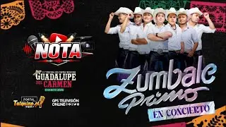 Festival de Chanco 2026 vibr&oacute; al ritmo de Z&uacute;mbale Primo en su noche inaugural