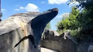 Tutorial 242: Queue of Orochi in Parc du Bocasse (P 7.1)