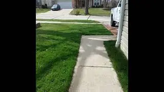 Don't Scalp Dormant winter lawns!