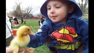 Baby Animal Days 2015