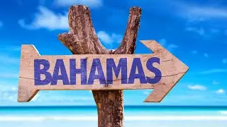 An Overview of Diving in the Bahamas.