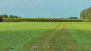Leinemasch.