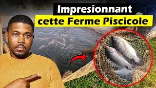 La pisciculture est un business tr&egrave;s rentable en Afrique