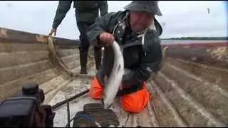 Yrkesfiskare Lars Larsson Bureå