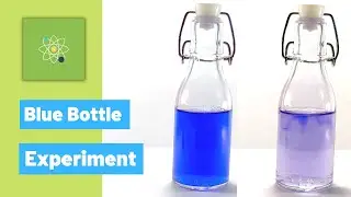 Making The Blue Bottle Experiment