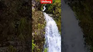 Shillong Water Fall 😊 #shorts #nature #shortvideo