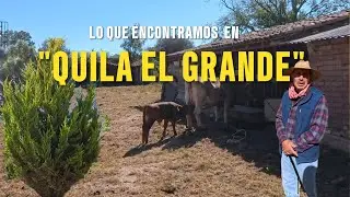 EN QUILA ENCONTRARAS PAISAJES DE BOSQUE Y LUGARES PARA VIVIR UNA GRAN AVENTURA