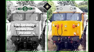 THE SPA VALLEY RAILWAY FROM THE TRAIN, 3/8/24 #preserved #diesel #railway