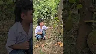OunTop wanna pick jackfruit #shorts #viral #ountop