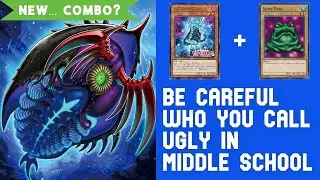 PALEOZOIC... COMBO? 1st turn Cambroraster & Toad feat. Splights