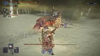 ELDEN RING NIGHTREIGN Nightfarers VS Everdark Fulghor 2/8-Guardian- #eldenringnightreign