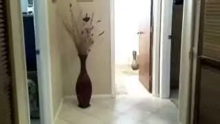 Video Tour Home for Sale - Bradenton, Florida 34210 - 6106 45th St W , IMG Golf Community