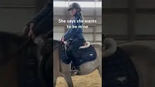 This is my story#equestrian #equestrianvibes #horseriding #horse
