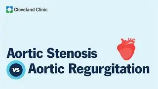 Aortic Stenosis vs. Aortic Regurgitation: What&rsquo;s the Difference?