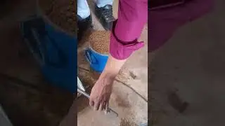 Sand bulk density test   by 3 litre cylinder