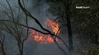Incendio a Regalna, parco Etna: vigili del fuoco al lavoro