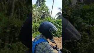 Coconut Farm। Famous Coconut Garden of Lower Assam। Abhayapuri