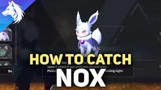 Where To Catch Nox (Location, Stats & Habitat) Palworld