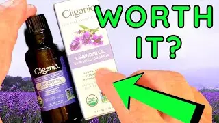 Cliganic USDA Organic Lavender Essential Oil, 1oz - 100% Pure Natural Undiluted, for Aromatherapy