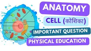 ANATOMY  | CELL | IMPORTANT QUESTION PHYSICAL EDUCATION