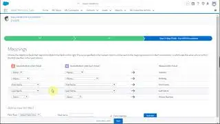 3. MailChimp for Salesforce App: Field Mapping for Integration