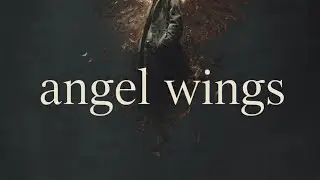 A.B Angel wings 
