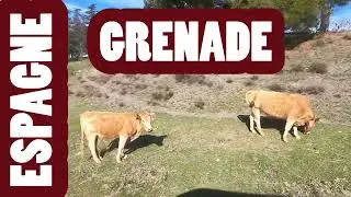 CENES DE LA VÉGA - GRENADE