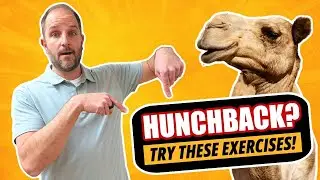 3 Exercises to Eliminate Neck Pain and Hunchback | Dr Matt Pennetti Centennial CO Chiropractor