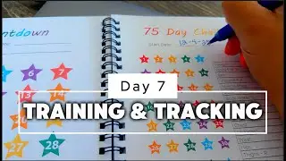 Day 7 : Training the day & documenting the process! | 75 Hard Challenge