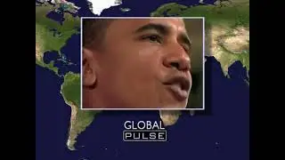 Global Pulse - 2008 Election 2