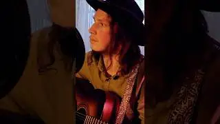 Elfingroth - Лiтвiны (Zenon cover) #лiтвiны #musicvideo #cover
