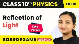 Reflection of Light - Light: Reflection And Refraction | Class 10 Physics