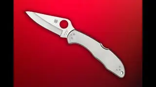 Spyderco Delica II из нержавеющей стали