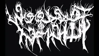 WOODS OF INFINITY - Brutalt Mord