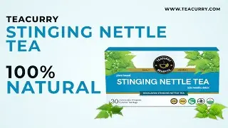 Teacurry Stinging Nettle Tea For Kidney Detox, Sugar, Blood Purify #teacurry #nettletea #wellnesstea