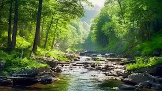 Healing Sleep Music ♬ Restores energy, heals melancholy, frees the mind | Lotus Chillout